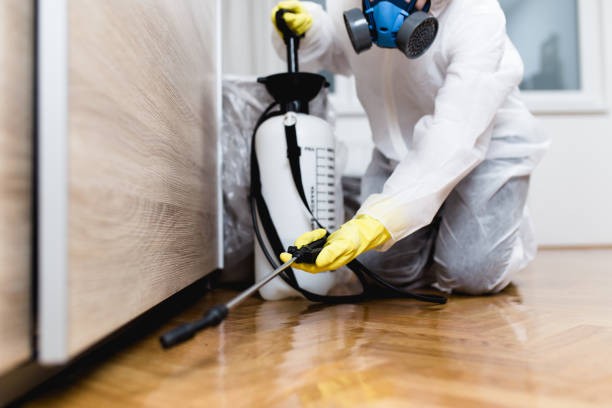 Best Insect Control  in Millbrook, NY