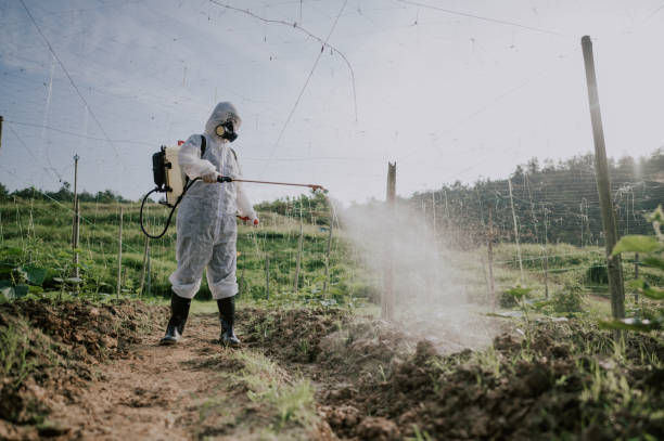 Best Best Pest Control Companies  in Millbrook, NY
