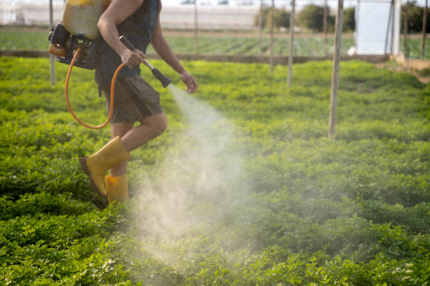 Best Wasp Removal Services  in Millbrook, NY