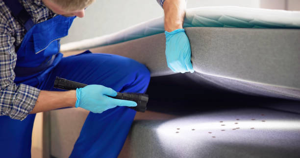 Best Emergency Pest Control  in Millbrook, NY