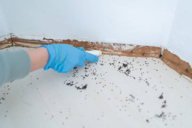 Best Wildlife Control Services  in Millbrook, NY